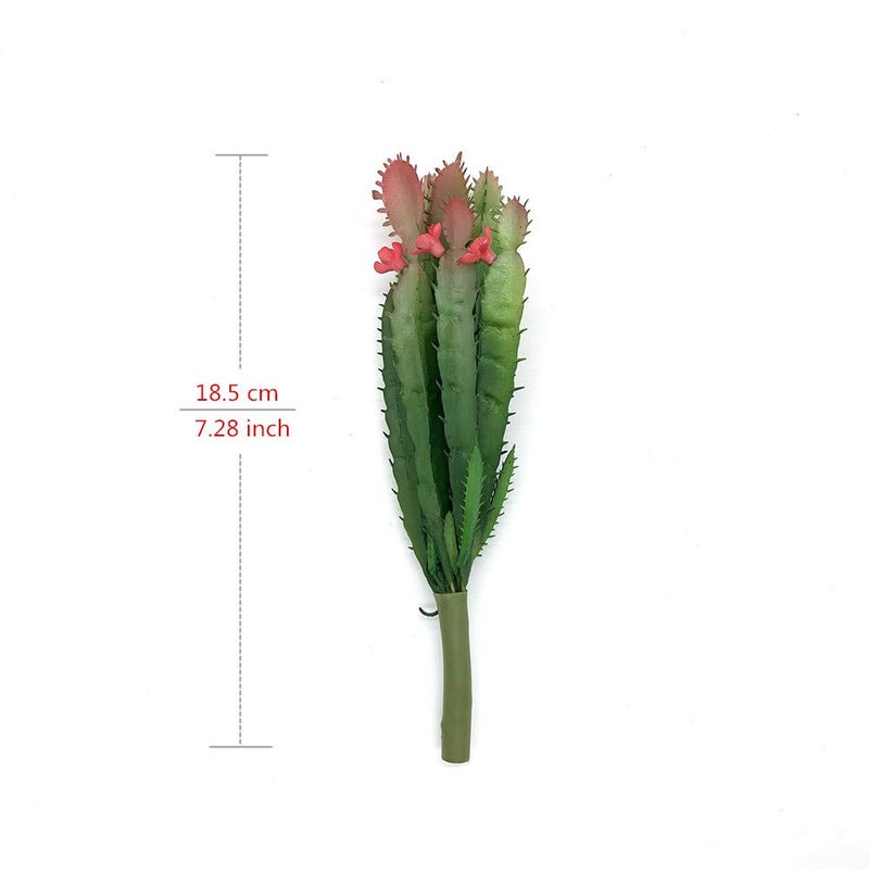 EBUYOM 2 PCS Mini Artificial Succulents Plants Unpotted Faux Cactus Fake Succulent Bouquet Arrangements Faux Plants DIY for Garden Decor Home Decoration Greenery Set (Mini Cactus) - Image 2